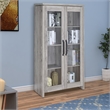 Benjara 2 Door Curio Cabinet with Glass Panels- Adjustable Shelves- Gray