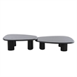 Benjara Cid Sami Coffee Table (Set of 2)- Freeform Shape- Black Solid Wood Frame