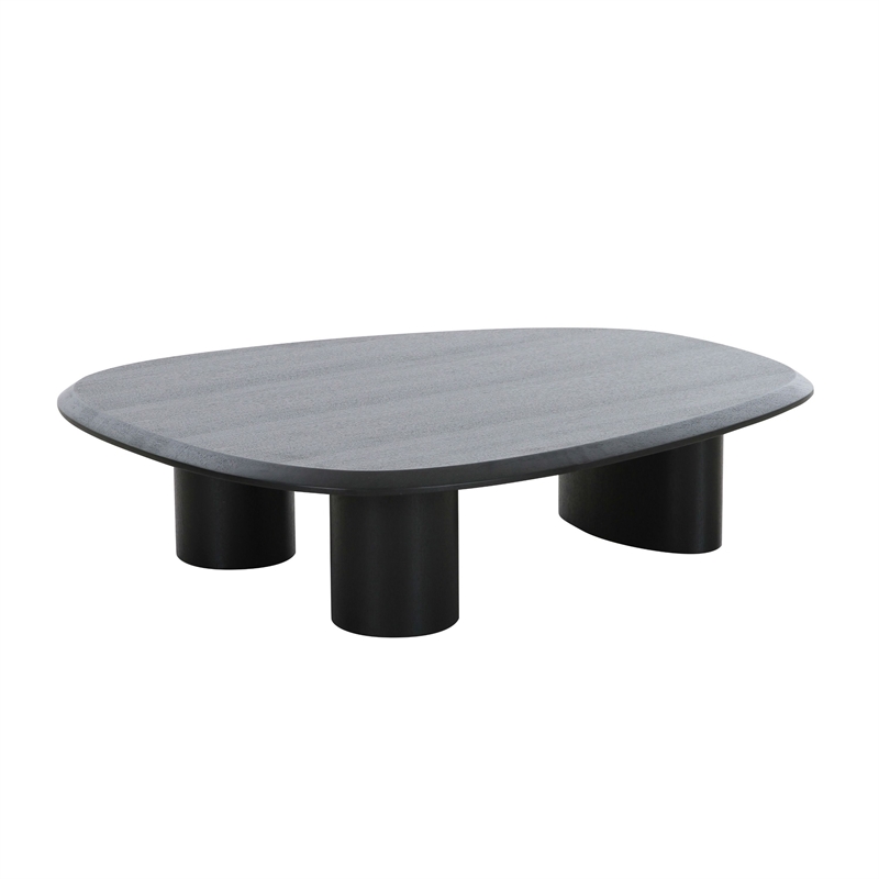 Benjara Cid Sami Coffee Table (Set of 2)- Freeform Shape- Black Solid Wood Frame