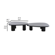 Benjara Cid Sami Coffee Table (Set of 2)- Freeform Shape- Black Solid Wood Frame
