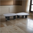 Benjara Cid Sami Coffee Table (Set of 2)- Freeform Shape- Black Solid Wood Frame