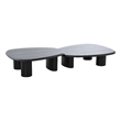 Benjara Cid Sami Coffee Table (Set of 2)- Freeform Shape- Black Solid Wood Frame