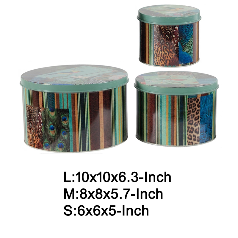 Yuva Decorative Box Set of 3- Animal Motifs and Stripes- Green Metal Tin