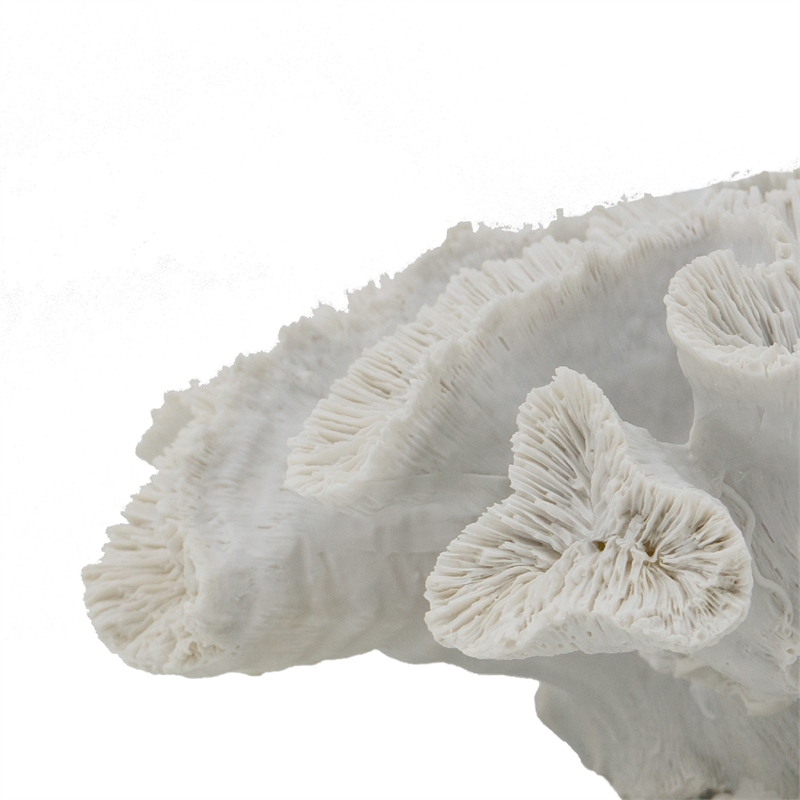 Decorative Coral Sculpture Tabletop Decor- 9 Inch White Polyresin