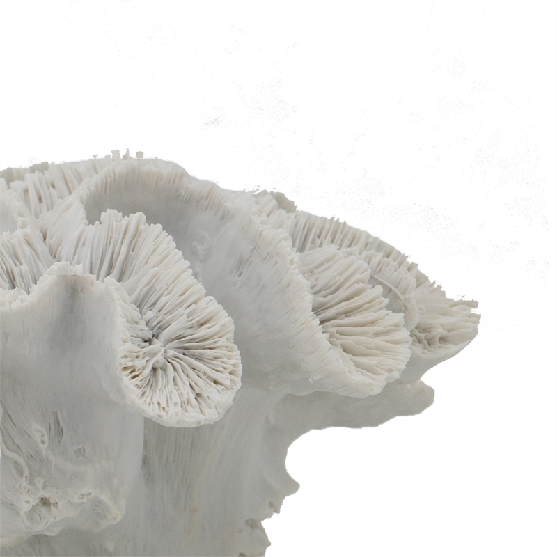 Decorative Coral Sculpture Tabletop Decor- 9 Inch White Polyresin