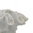 Decorative Coral Sculpture Tabletop Decor- 9 Inch White Polyresin
