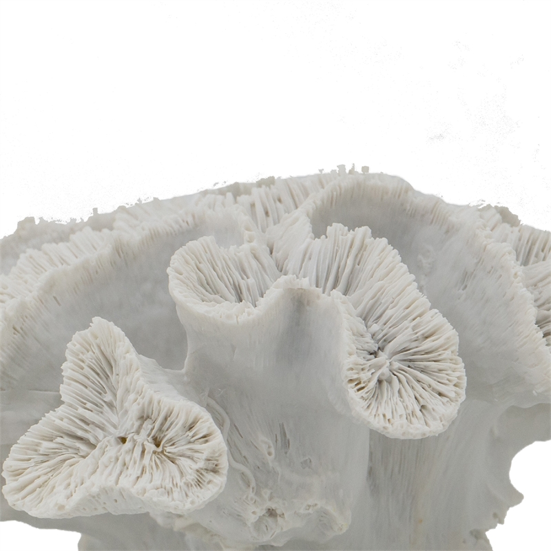 Decorative Coral Sculpture Tabletop Decor- 9 Inch White Polyresin