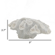 Decorative Coral Sculpture Tabletop Decor- 9 Inch White Polyresin