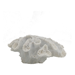 Wall Sculptures