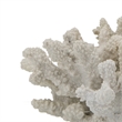 Coastal Decorative Faux Coral Sculpture- Realistic- 8 Inch White Polyresin
