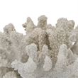 Coastal Decorative Faux Coral Sculpture- Realistic- 8 Inch White Polyresin