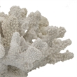 Coastal Decorative Faux Coral Sculpture- Realistic- 8 Inch White Polyresin