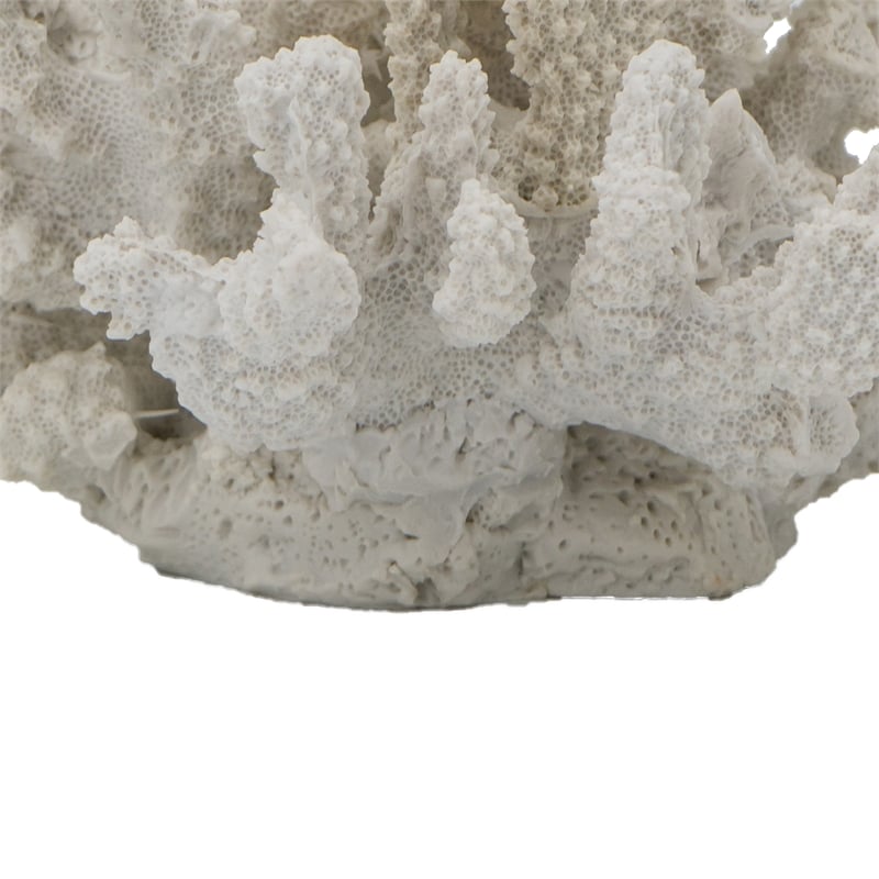 Coastal Decorative Faux Coral Sculpture- Realistic- 8 Inch White Polyresin