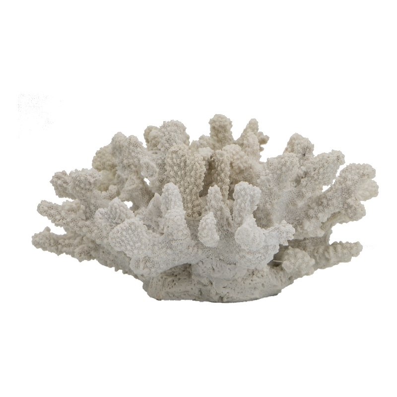 Coastal Decorative Faux Coral Sculpture- Realistic- 8 Inch White Polyresin