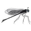 Decorative Dragonfly Garden Accent with Solar Lights- Black Iron Frame