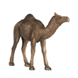 Camel Accent Decor- Realistic 9 Inch Sculpture- Polyresin Bronze