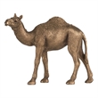 Camel Accent Decor- Realistic 9 Inch Sculpture- Polyresin Bronze