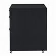 Bard File Cabinet- 3 Drawers with Chrome Metal Handles- Black High Gloss