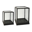 Jeny Display Box Set of 2- Square Clear Glass with Black Fir Wood Frame