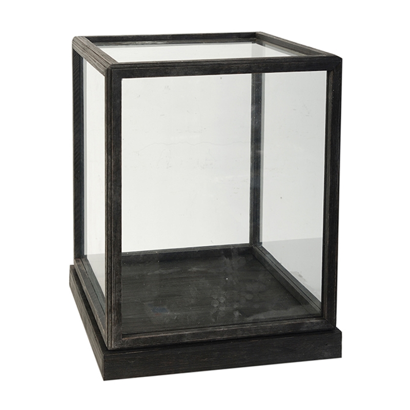Jeny Display Box Set of 2- Square Clear Glass with Black Fir Wood Frame