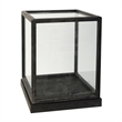 Jeny Display Box Set of 2- Square Clear Glass with Black Fir Wood Frame