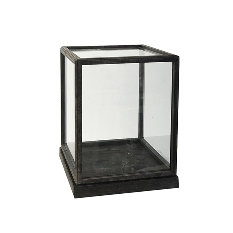 Jeny Display Box Set of 2- Square Clear Glass with Black Fir Wood Frame