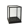 Jeny Display Box Set of 2- Square Clear Glass with Black Fir Wood Frame