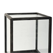 Jeny Display Box Set of 2- Square Clear Glass with Black Fir Wood Frame