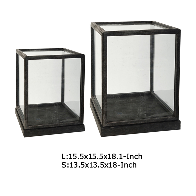 Jeny Display Box Set of 2- Square Clear Glass with Black Fir Wood Frame