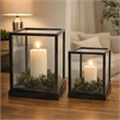 Jeny Display Box Set of 2- Square Clear Glass with Black Fir Wood Frame