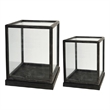 Jeny Display Box Set of 2- Square Clear Glass with Black Fir Wood Frame