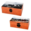 Storage Box Set of 2- Hunting Dogs and Horse Drawn Carriage Print- Brown