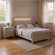 Queen Bedroom Set- Champagne Gray-Champagne Silver Wood-2 Piece Set w Nightstand