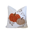 Niva Square Throw Pillow- Embroidered Rust Pumpkins- White Cotton 20 Inch