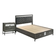 Queen Bedroom Set- Gray- Silver- Black Wood- 2 Piece Set with Nightstand