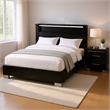Queen Bedroom Set- Black- Chrome Wood- 2 Piece Set with Nightstand