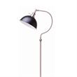 Floor Lamp- Gooseneck Arm and Adjustable Head- Nickel- Black Metal