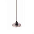 Floor Lamp- Gooseneck Arm and Adjustable Head- Nickel- Black Metal