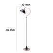 Floor Lamp- Gooseneck Arm and Adjustable Head- Nickel- Black Metal