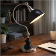 Table Lamp- Gooseneck Arm and Adjustable Head- Nickel- Black Metal