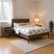 Queen Bedroom Set in Gray Wood - 2 Piece Set with Nightstand