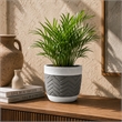 Decorative Planter- Chevron Design- Gray and White 7 Inch Terracotta