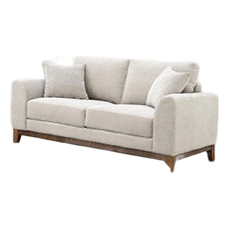 Wera Accent Loveseat with 2 Pillows- Light Gray Chenille- 65 Inch