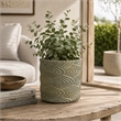 Cylindrical Planter- Raised Feather Motifs- Gray and Gold Terracotta 7 Inch