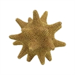 Noah Decorative Orb Sculpture with Spiked Details- Gold Resin 8 Inch