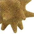 Noah Decorative Orb Sculpture with Spiked Details- Gold Resin 8 Inch