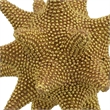 Noah Decorative Orb Sculpture with Spiked Details- Gold Resin 8 Inch
