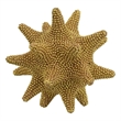 Noah Decorative Orb Sculpture with Spiked Details- Gold Resin 8 Inch