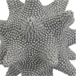 Noah Decorative Orb Sculpture with Spiked Details- Silver Resin 8 Inch