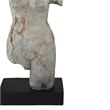Ricky Female Torso Sculpture- Black Base- Distress Gray Resin 17 Inch